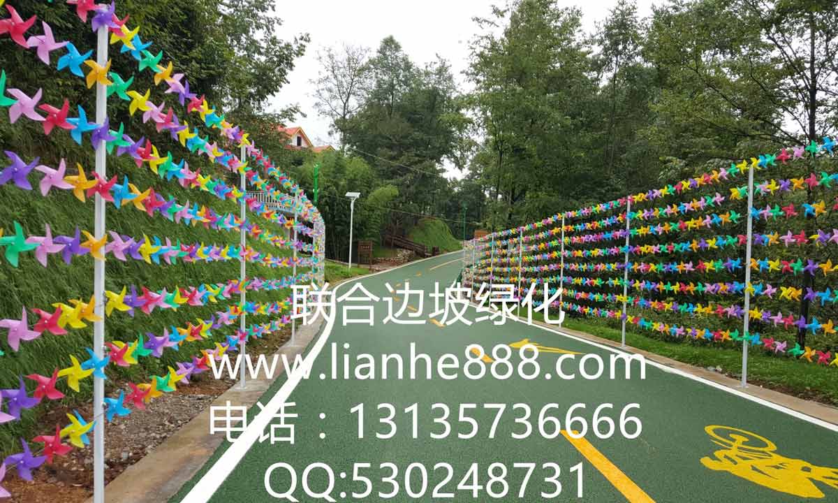 貴州六盤(pán)水大河堡國(guó)學(xué)館風(fēng)景旅游區(qū)邊坡復(fù)綠