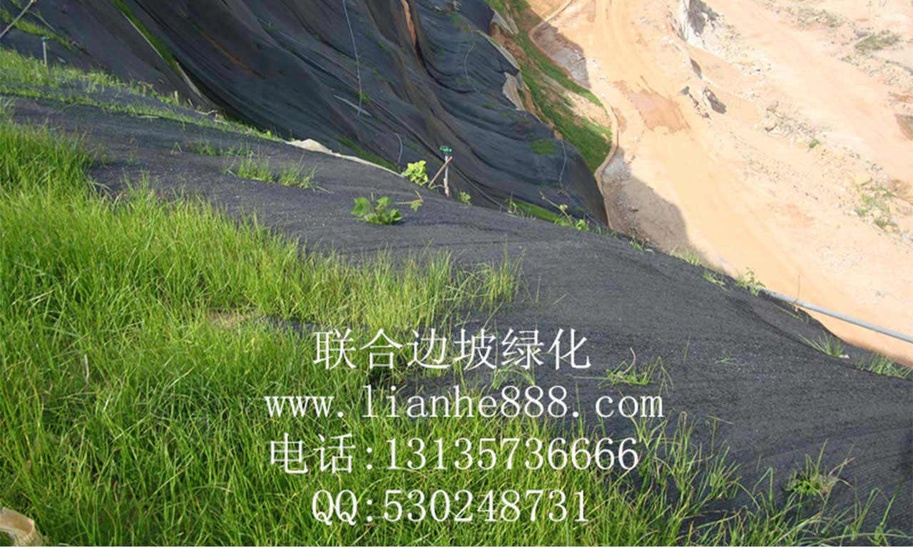 1716804826113294.jpg 20180109181246525.jpg