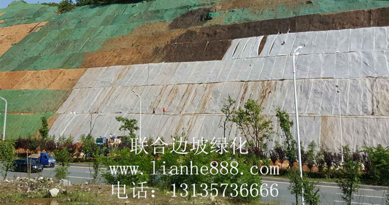 1718328696428037.jpg 20240530195600.jpg