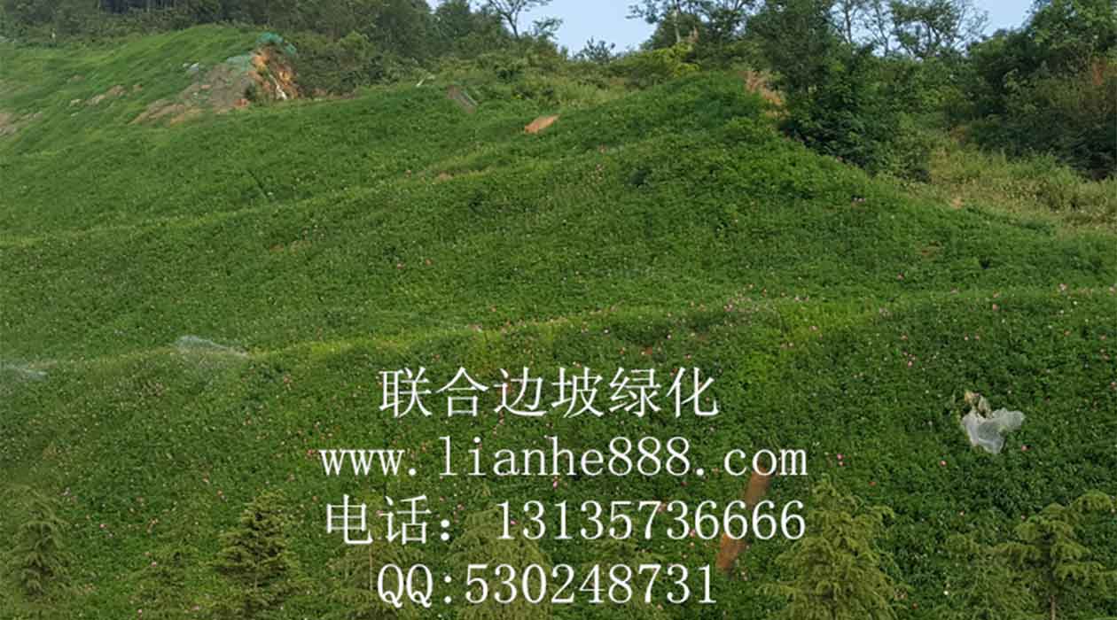 1718847754902247.jpg 20240604150258.jpg