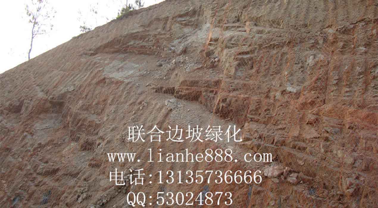 1719212287107411.jpg 20240611104636.jpg