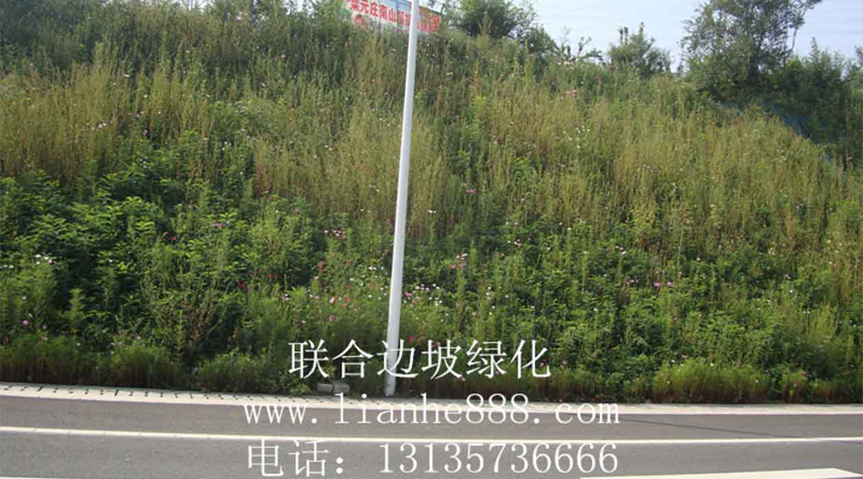 1719647086110574.jpg 20240628100845.jpg